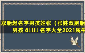 双胎起名字男孩姓张（张姓双胞胎男孩 🍀 名字大全2021属牛）